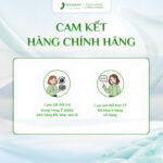 Kem Rạn Misa Organic 50gr – Mờ Vết Rạn Căng Mịn Da