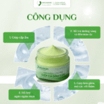 Combo Kem Diếp Cá & Kem Chống Nắng – Bộ Đôi Dưỡng Da Hoàn Hảo