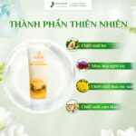 Kem Chống Nắng Tinh Chất Bơ Nghệ Misamom