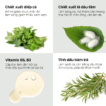 Kem Diếp Cá Dâu Tằm – Cấp Ẩm, Trị Mụn Thâm, Dưỡng Trắng Da