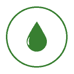 Kem Chống Nắng Tinh Chất Bơ Nghệ Misamom